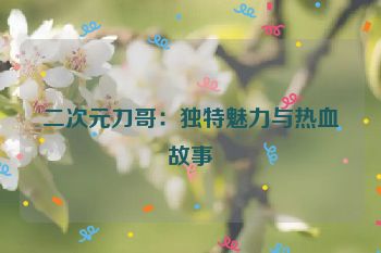 二次元刀哥：独特魅力与热血故事