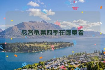 忍者龟第四季在哪里看