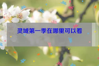 灵域第一季在哪里可以看