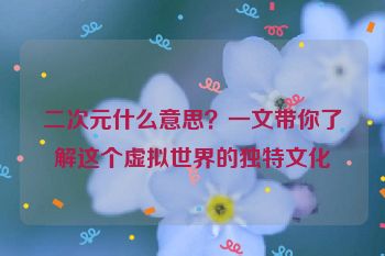 二次元什么意思？一文带你了解这个虚拟世界的独特文化