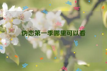 伪恋第一季哪里可以看