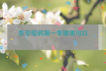 东京暗鸦第一季哪里可以