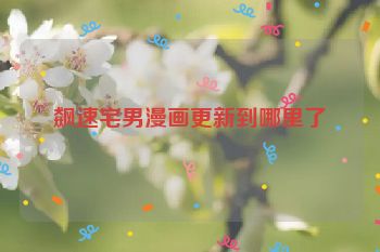 飙速宅男漫画更新到哪里了