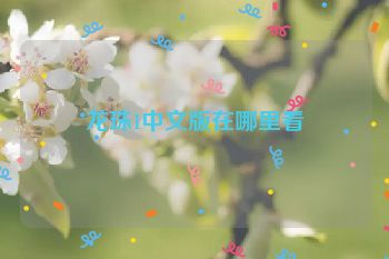 龙珠1中文版在哪里看