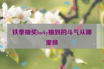 铁拳抽奖lucky抽到的斗气从哪里换