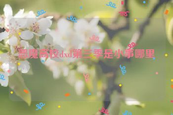 恶魔高校dxd第三季是小事哪里