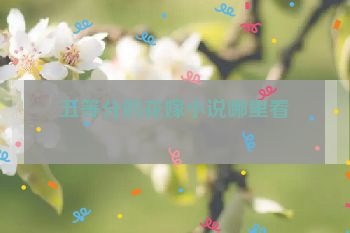 五等分的花嫁小说哪里看