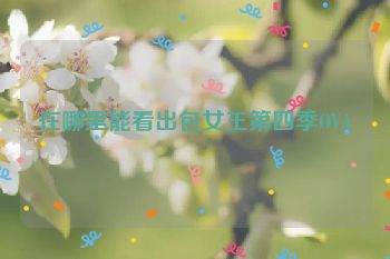 在哪里能看出包女王第四季OVA