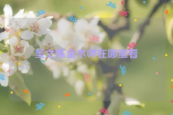 圣之炼金术师在哪里看