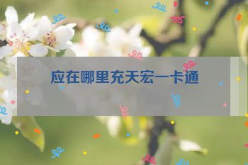 应在哪里充天宏一卡通