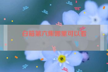 白箱第六集哪里可以看