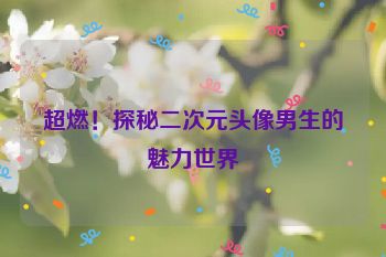 超燃！探秘二次元头像男生的魅力世界
