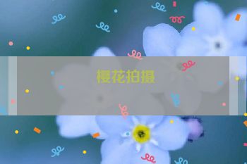  樱花拍摄