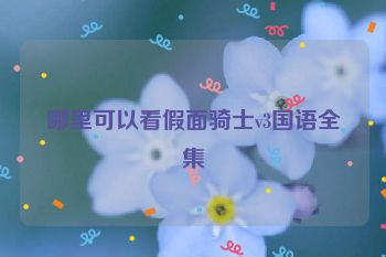 哪里可以看假面骑士v3国语全集