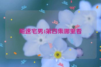 飚速宅男4第四集哪里看