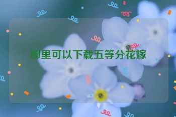 哪里可以下载五等分花嫁