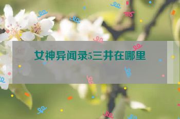 女神异闻录5三井在哪里